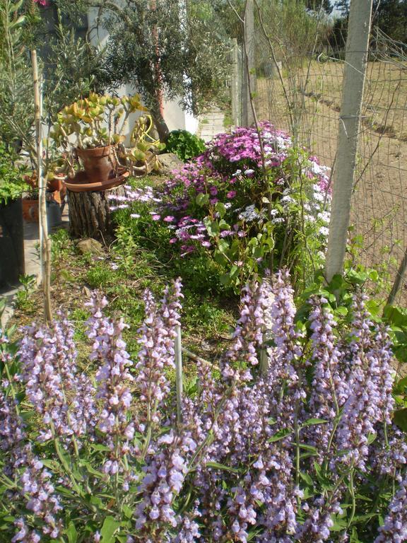 Marrùbiu Il Giardino Di Emilio Bed & Breakfast 部屋 写真