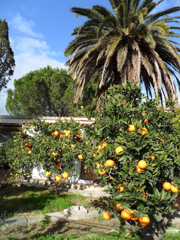 Marrùbiu Il Giardino Di Emilio Bed & Breakfast 部屋 写真